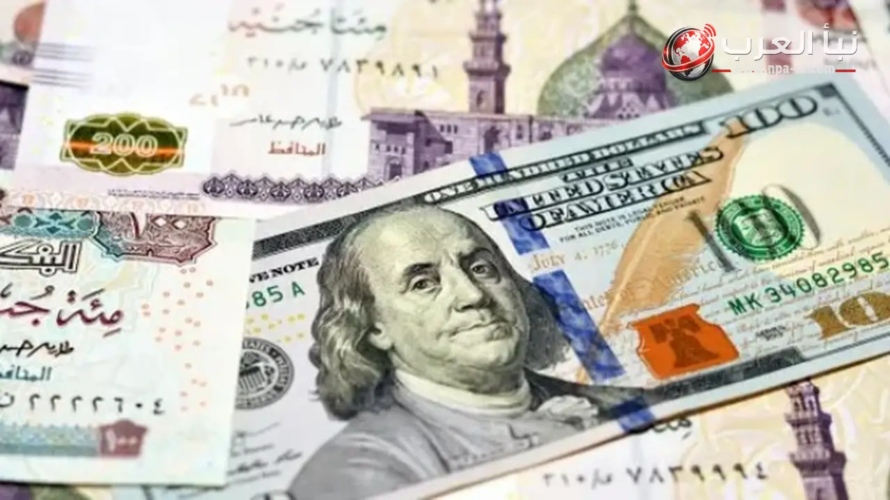 سعر الدولار يستقر قرب 49 جنيها داخل البنوك مع آخر تحديثات الصرف