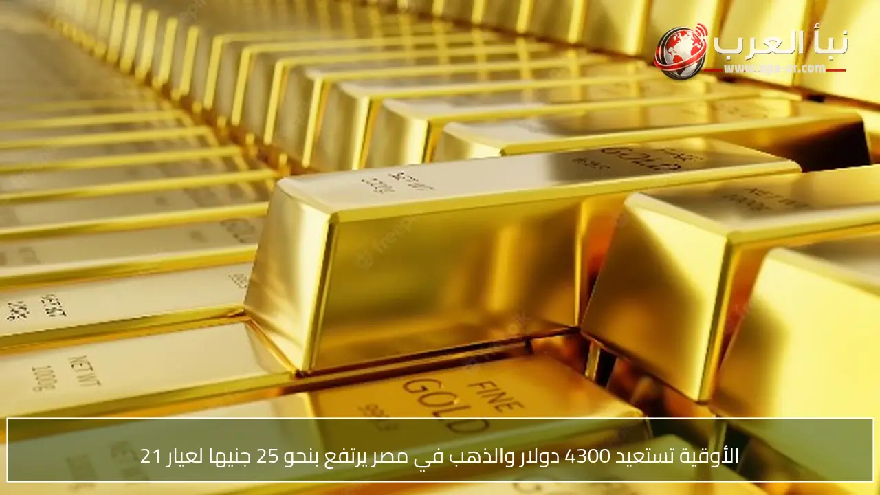 الأوقية تستعيد 4300 دولار والذهب في مصر يرتفع بنحو 25 جنيها لعيار 21
