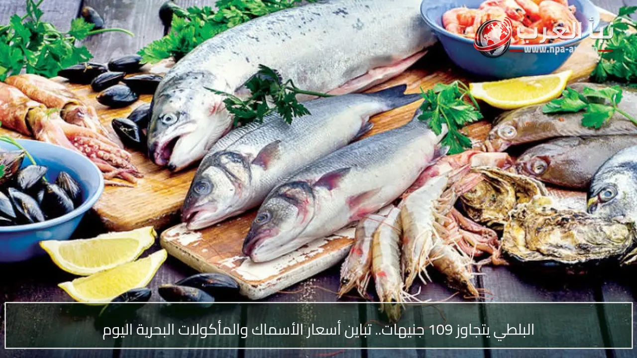 البلطي يتجاوز 109 جنيهات.. تباين أسعار الأسماك والمأكولات البحرية اليوم