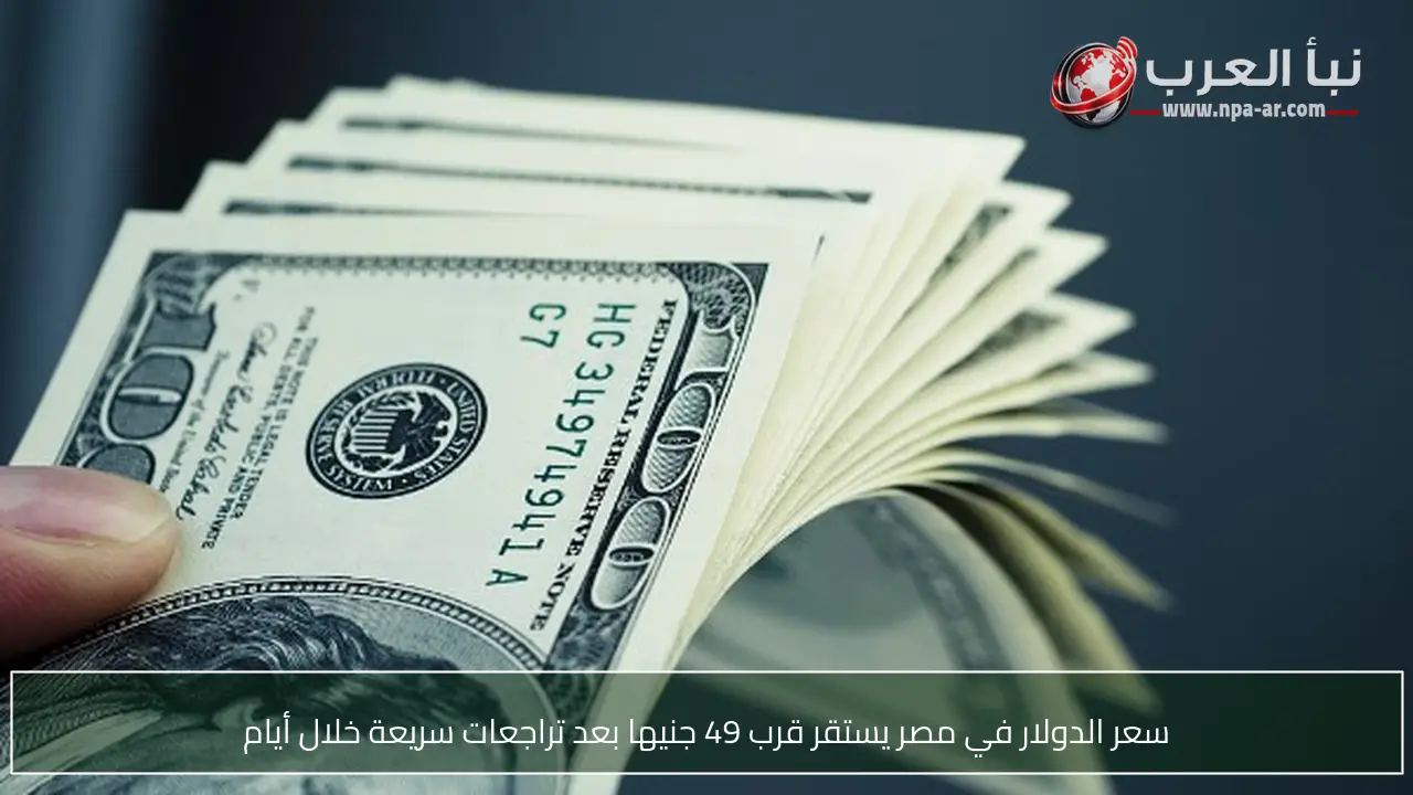 سعر الدولار في مصر يستقر قرب 49 جنيها بعد تراجعات سريعة خلال أيام