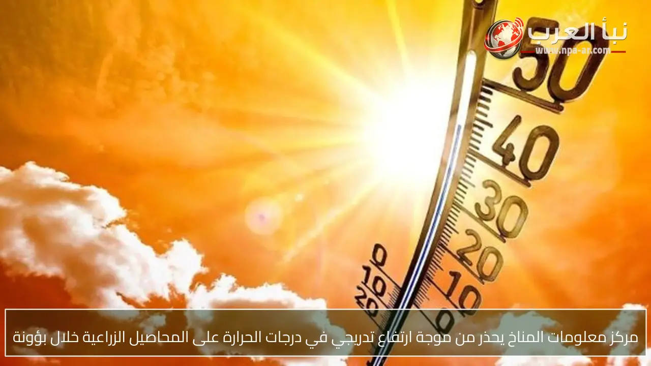 مركز معلومات المناخ يحذر من موجة ارتفاع تدريجي في درجات الحرارة على المحاصيل الزراعية خلال بؤونة