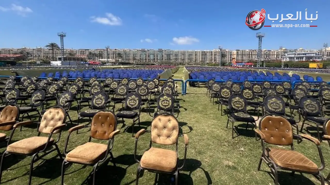 سموحة ينظم أكبر Fan Zone بالإسكندرية لمساندة منتخب مصر أمام أستراليا