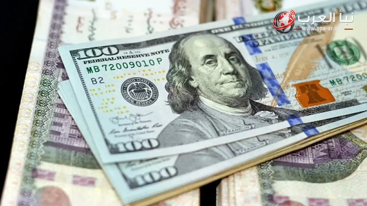 أقل سعر دولار في البنوك يسجل 49 جنيها للشراء و49.1 للبيع اليوم الجمعة
