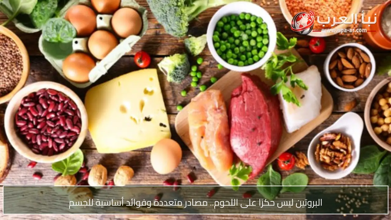 البروتين ليس حكرًا على اللحوم.. مصادر متعددة وفوائد أساسية للجسم