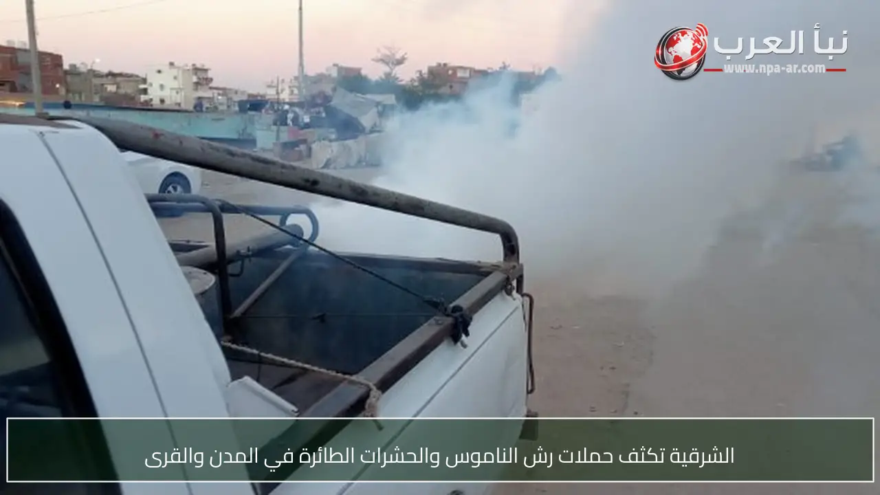 الشرقية تكثف حملات رش الناموس والحشرات الطائرة في المدن والقرى