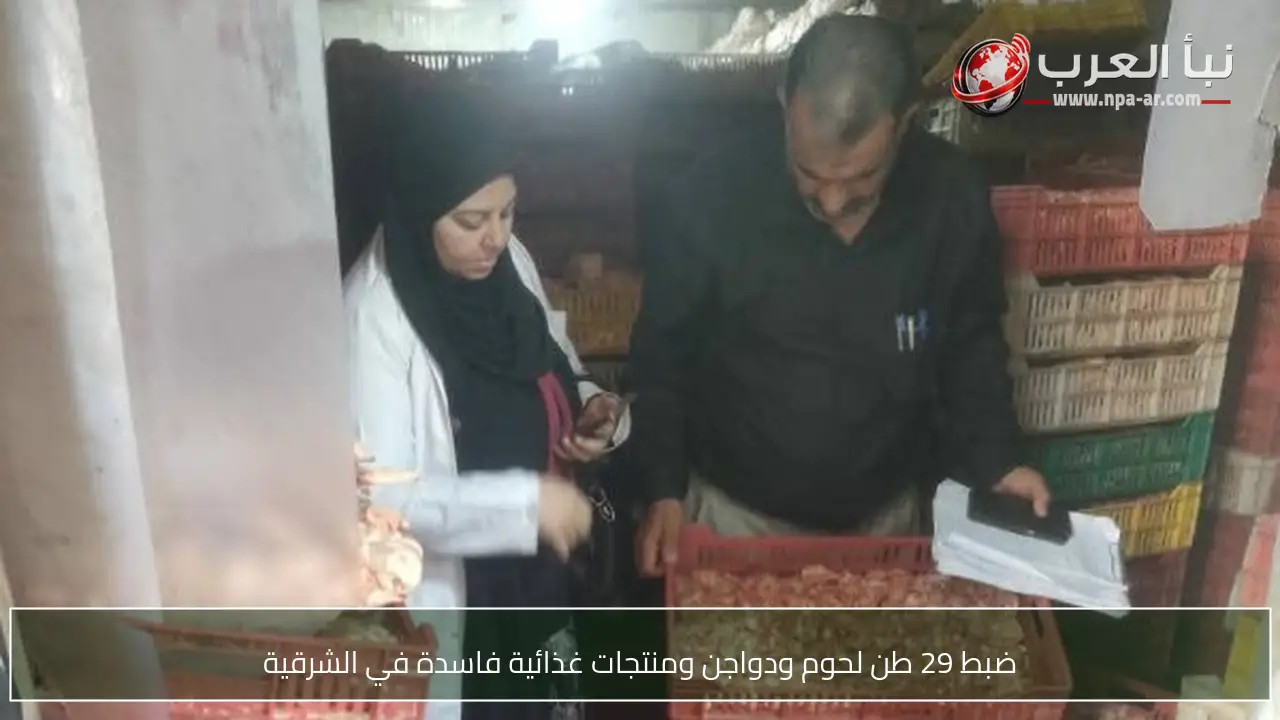ضبط 29 طن لحوم ودواجن ومنتجات غذائية فاسدة في الشرقية