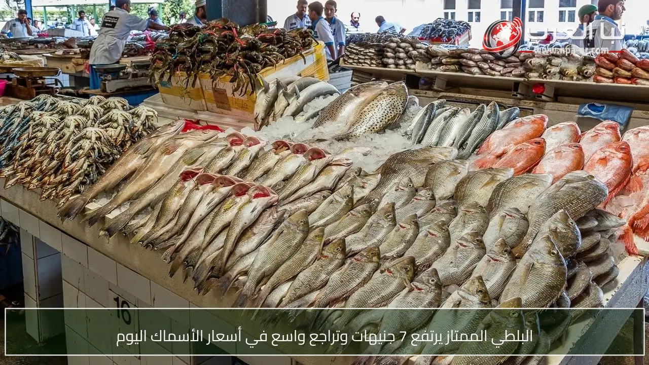 البلطي الممتاز يرتفع 7 جنيهات وتراجع واسع في أسعار الأسماك اليوم