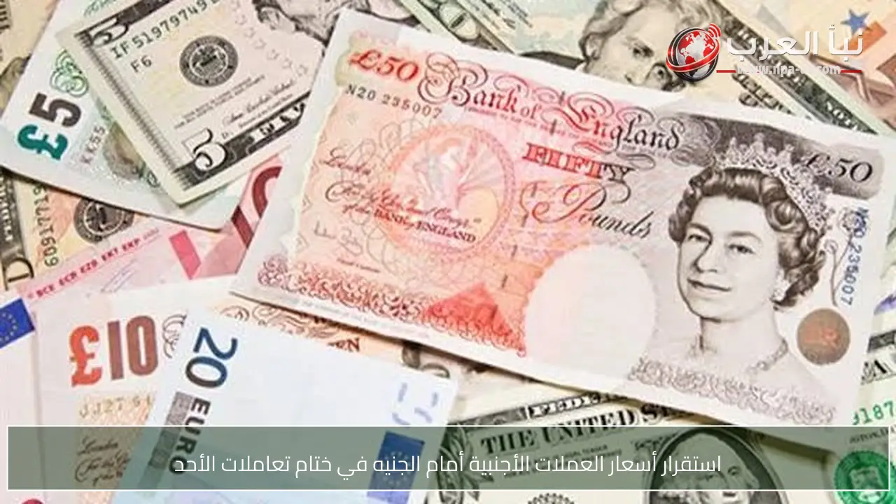استقرار أسعار العملات الأجنبية أمام الجنيه في ختام تعاملات الأحد