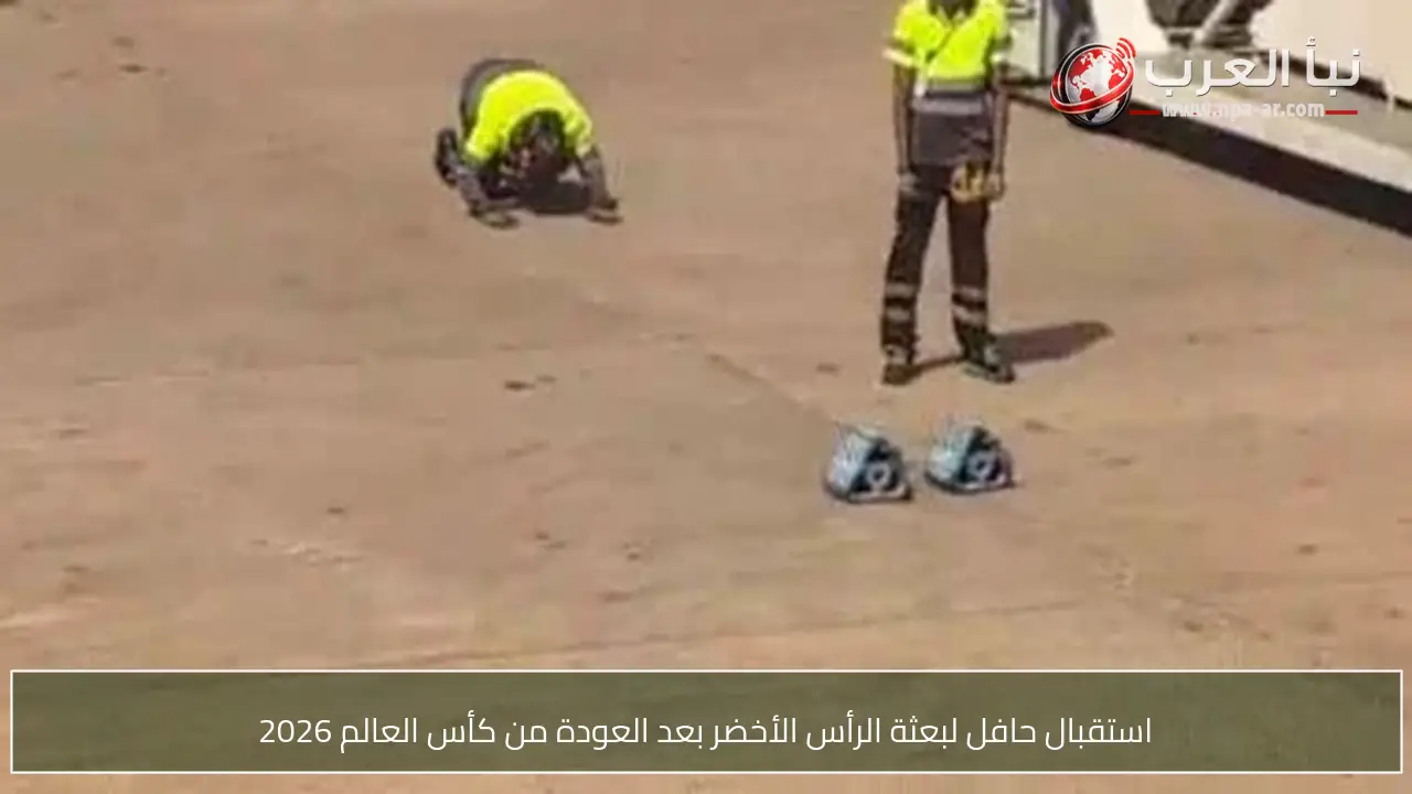 استقبال حافل لبعثة الرأس الأخضر بعد العودة من كأس العالم 2026