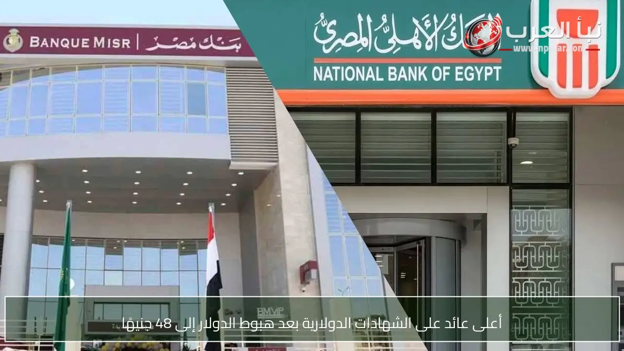 أعلى عائد على الشهادات الدولارية بعد هبوط الدولار إلى 48 جنيهًا