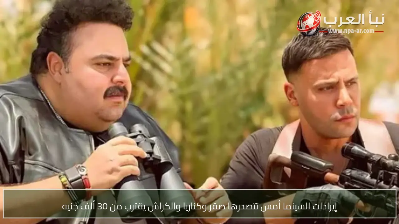 إيرادات السينما أمس تتصدرها صقر وكناريا والكراش يقترب من 30 ألف جنيه