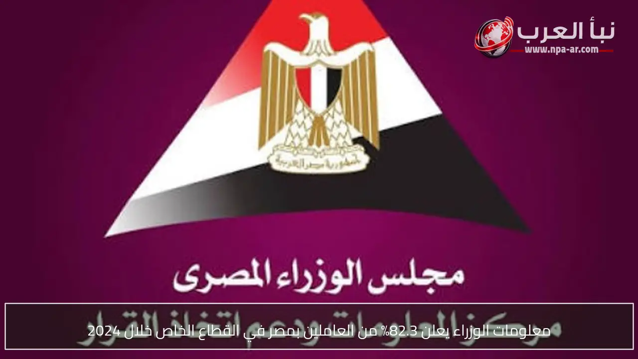 معلومات الوزراء يعلن 82.3% من العاملين بمصر في القطاع الخاص خلال 2024