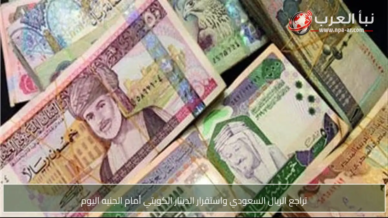 تراجع الريال السعودي واستقرار الدينار الكويتي أمام الجنيه اليوم