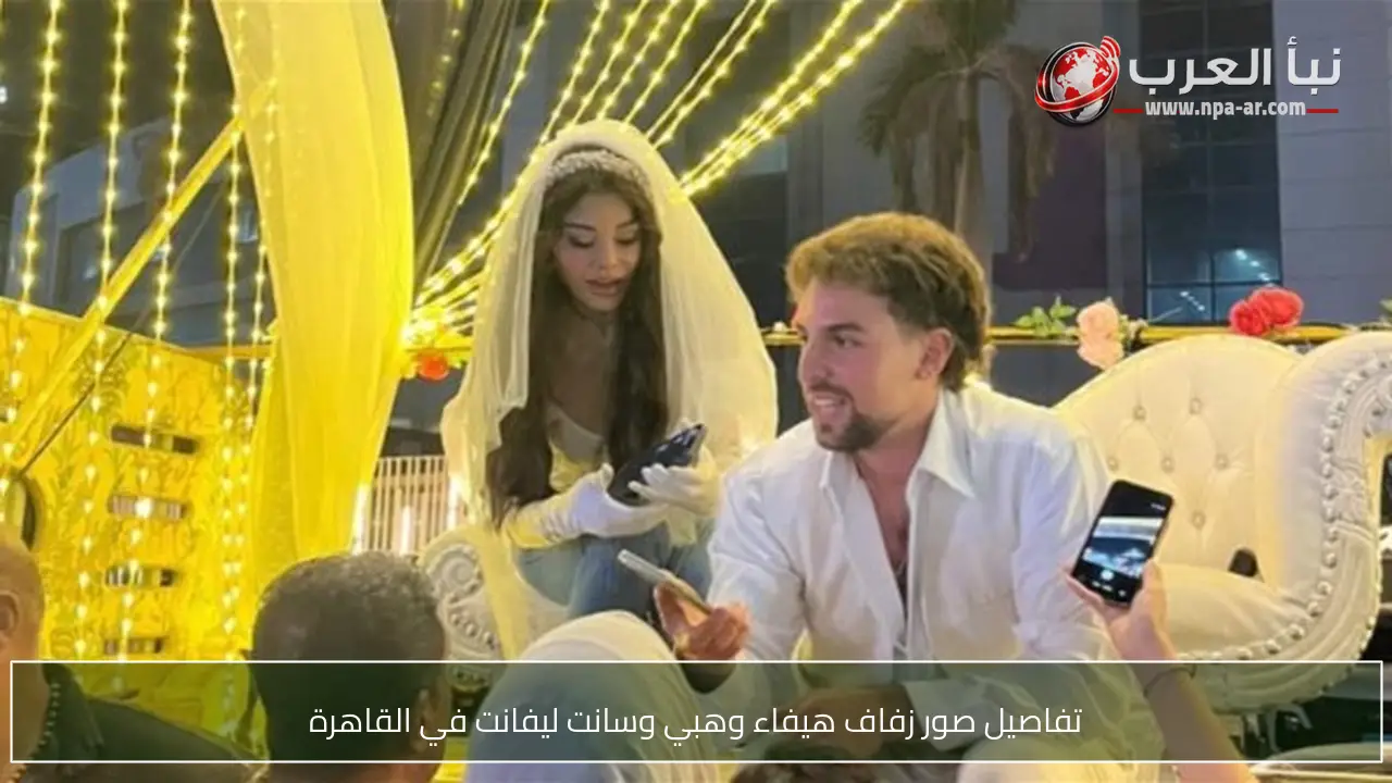 تفاصيل صور زفاف هيفاء وهبي وسانت ليفانت في القاهرة