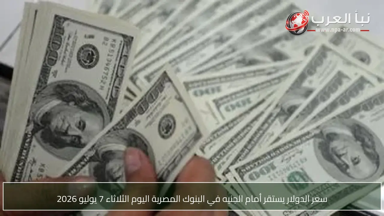 سعر الدولار يستقر أمام الجنيه في البنوك المصرية اليوم الثلاثاء 7 يوليو 2026