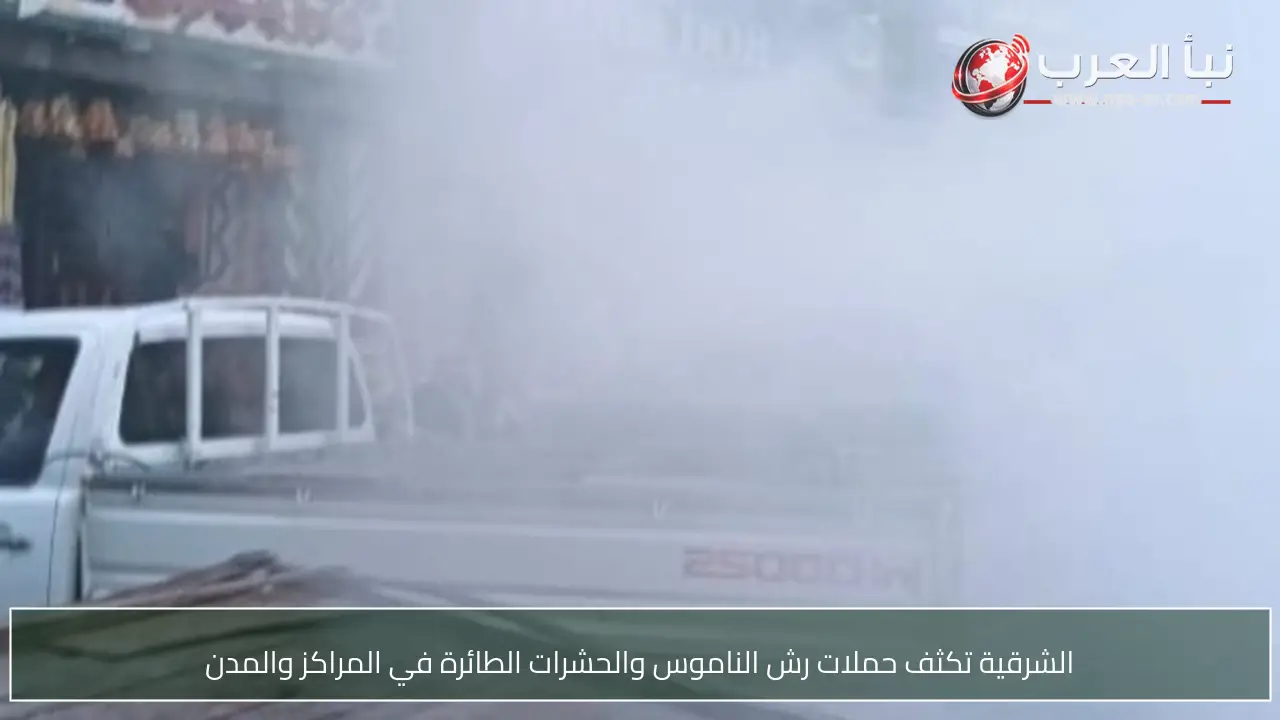 الشرقية تكثف حملات رش الناموس والحشرات الطائرة في المراكز والمدن