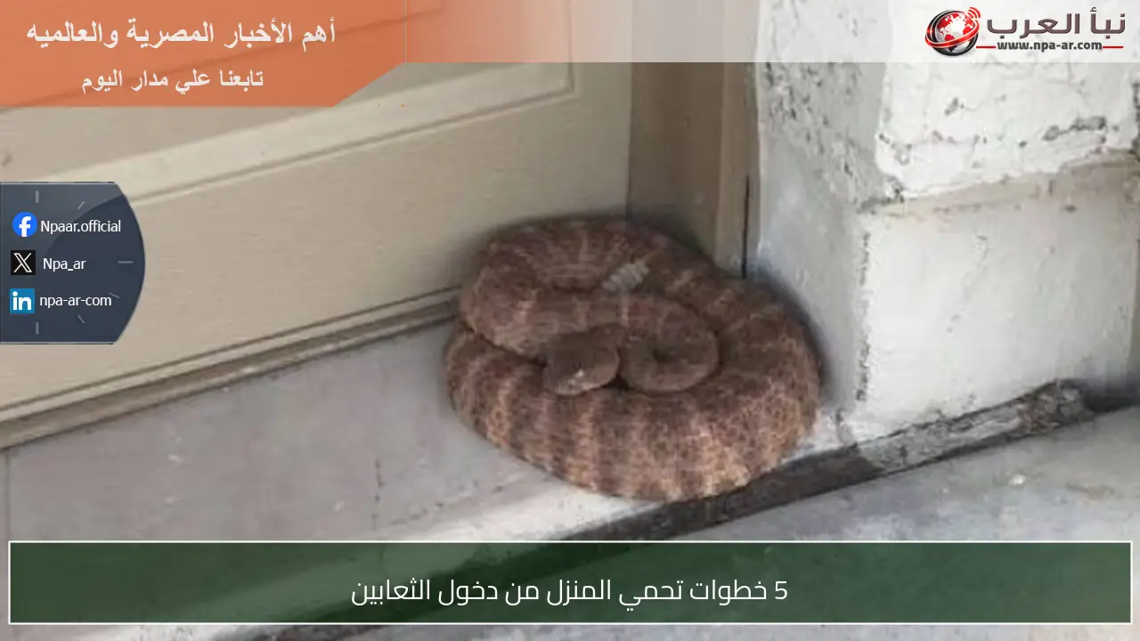 5 خطوات تحمي المنزل من دخول الثعابين