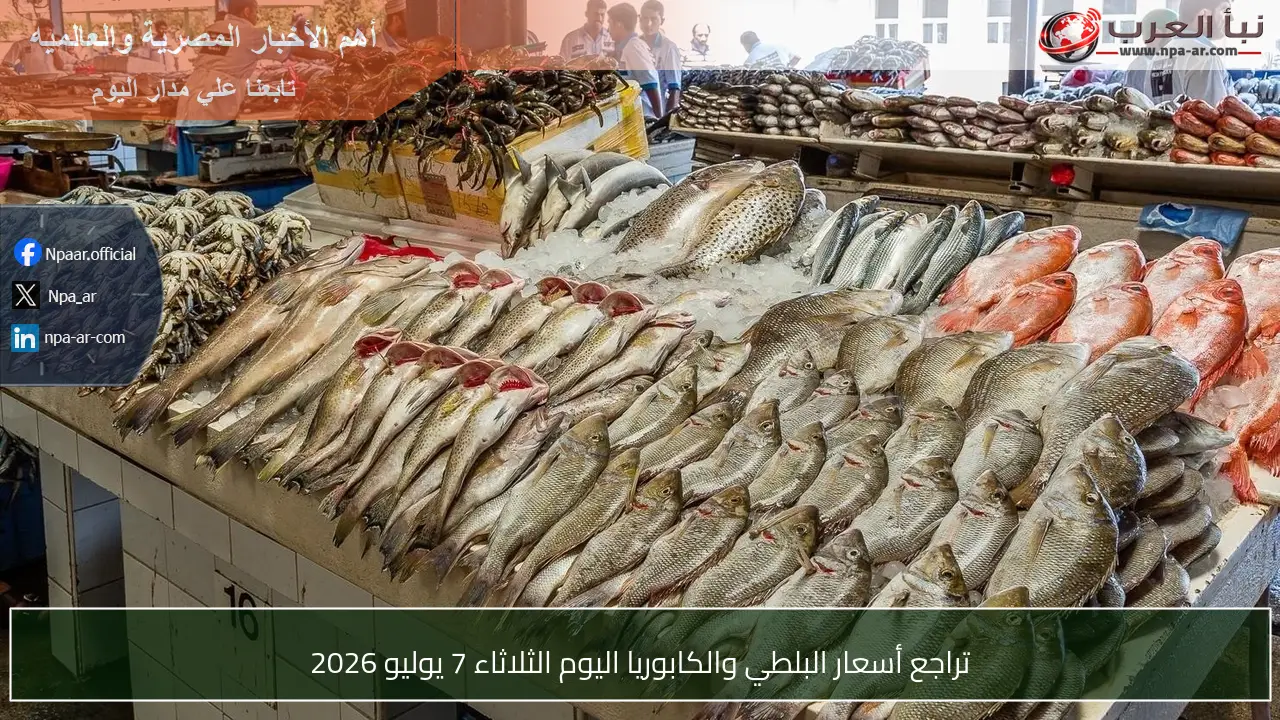 تراجع أسعار البلطي والكابوريا اليوم الثلاثاء 7 يوليو 2026
