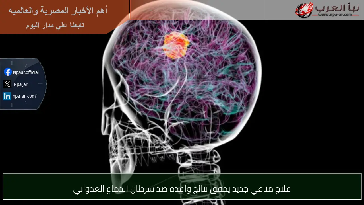 علاج مناعي جديد يحقق نتائج واعدة ضد سرطان الدماغ العدواني