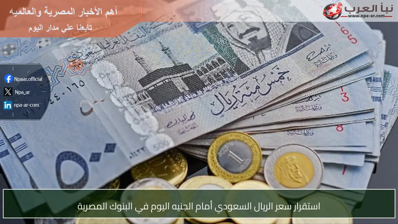استقرار سعر الريال السعودي أمام الجنيه اليوم في البنوك المصرية