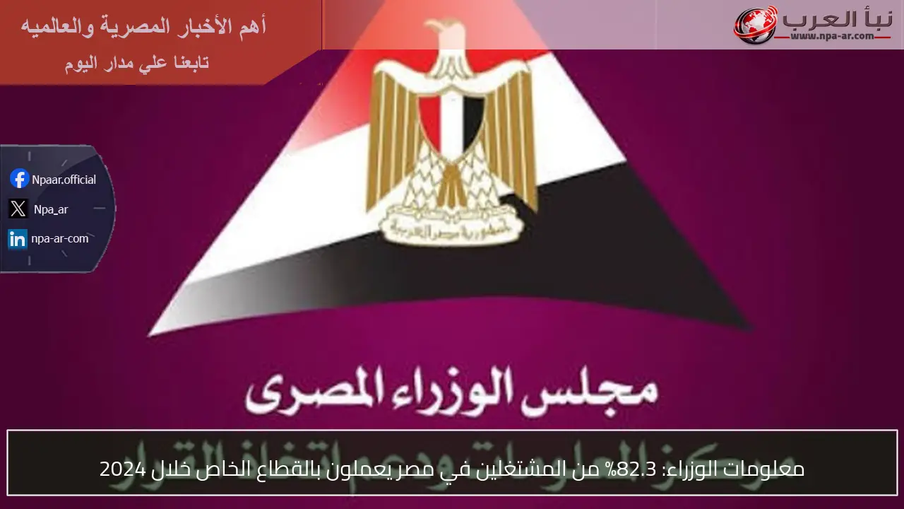 معلومات الوزراء: 82.3% من المشتغلين في مصر يعملون بالقطاع الخاص خلال 2024