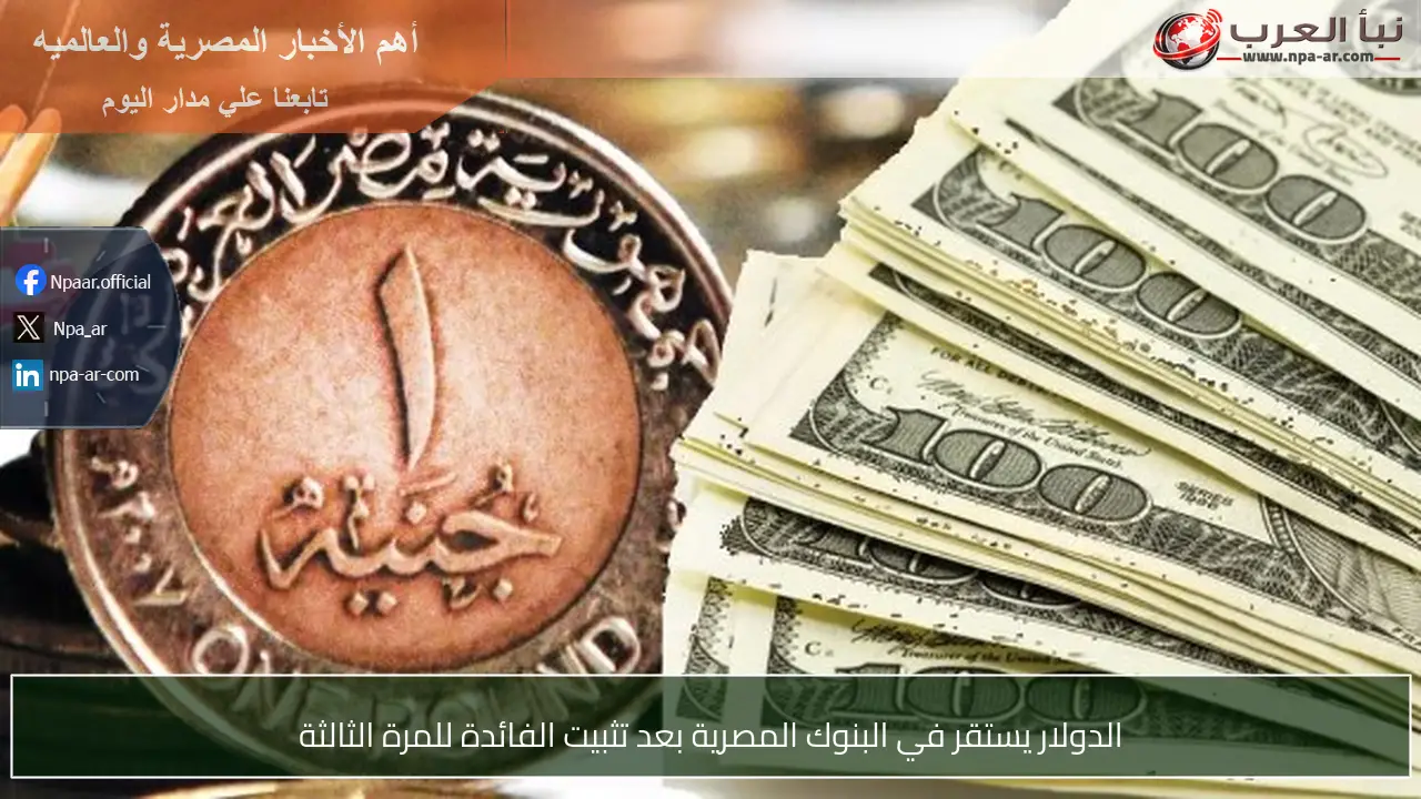 الدولار يستقر في البنوك المصرية بعد تثبيت الفائدة للمرة الثالثة