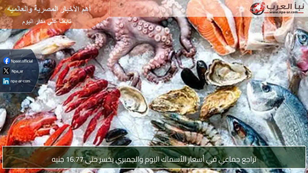 تراجع جماعي في أسعار الأسماك اليوم والجمبري يخسر حتى 16.77 جنيه