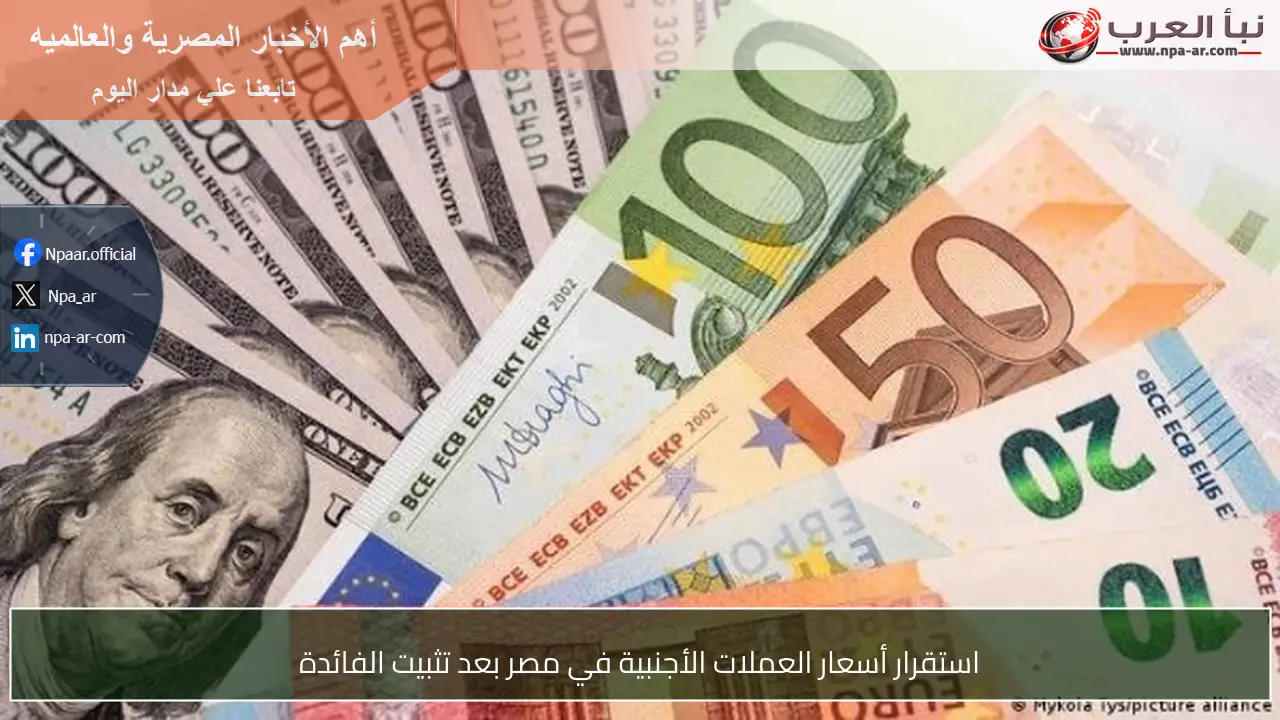 استقرار أسعار العملات الأجنبية في مصر بعد تثبيت الفائدة