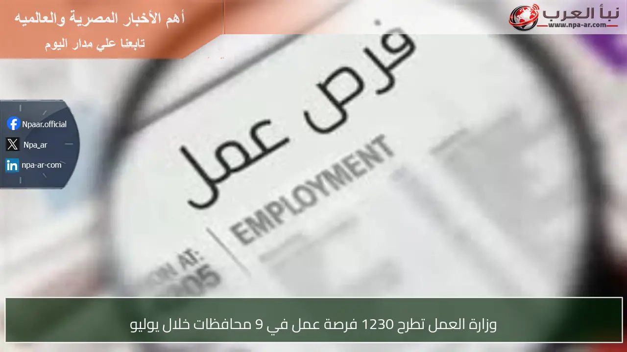 وزارة العمل تطرح 1230 فرصة عمل في 9 محافظات خلال يوليو