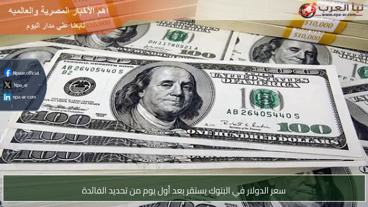 سعر الدولار في البنوك يستقر بعد أول يوم من تحديد الفائدة