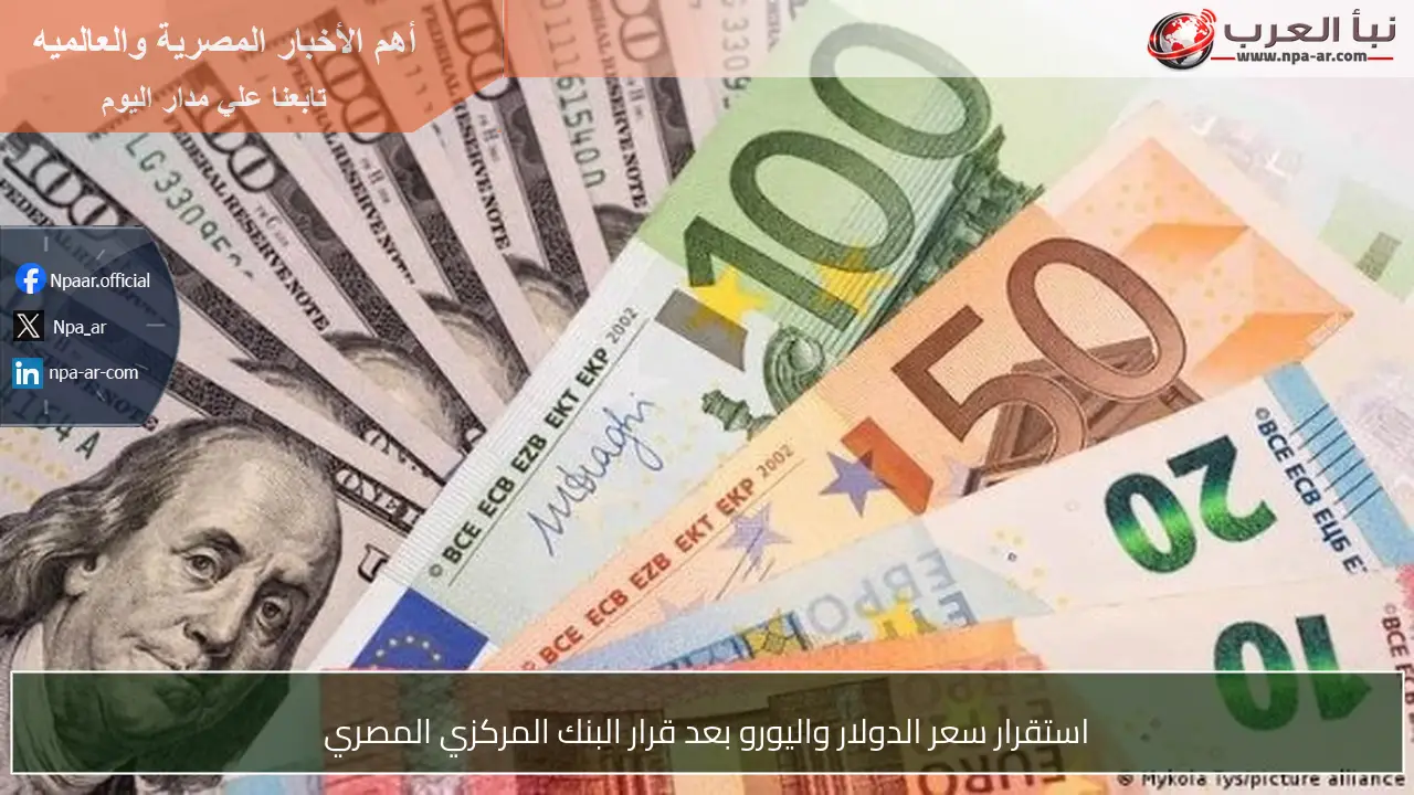 استقرار سعر الدولار واليورو بعد قرار البنك المركزي المصري