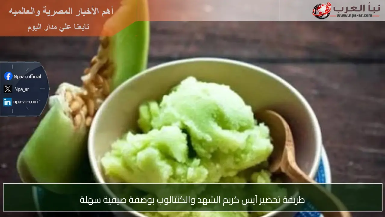 طريقة تحضير آيس كريم الشهد والكنتالوب بوصفة صيفية سهلة