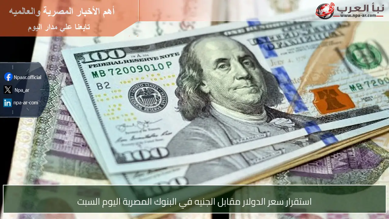 استقرار سعر الدولار مقابل الجنيه في البنوك المصرية اليوم السبت