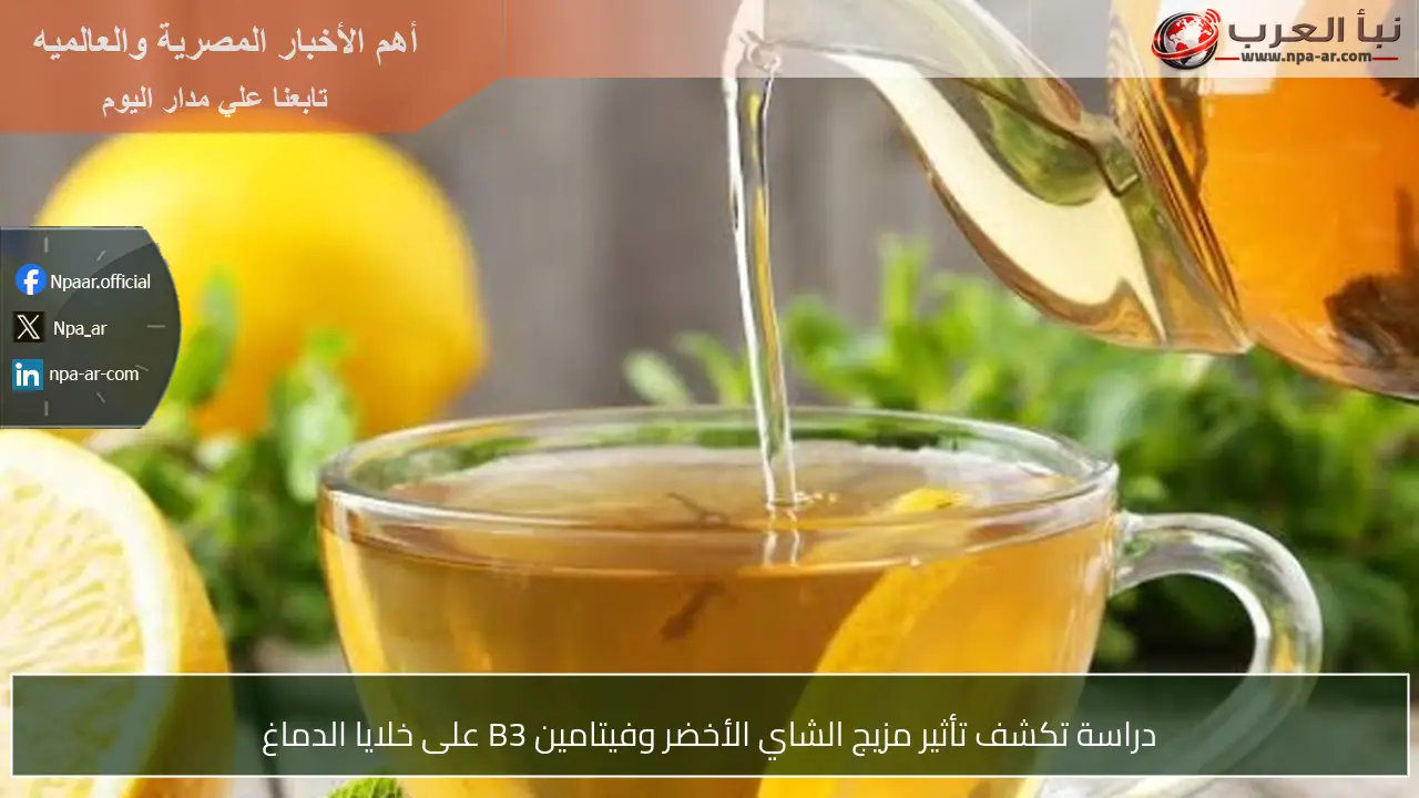 دراسة تكشف تأثير مزيج الشاي الأخضر وفيتامين B3 على خلايا الدماغ