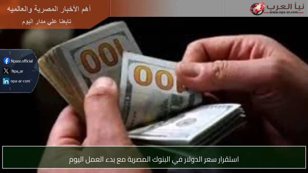 استقرار سعر الدولار في البنوك المصرية مع بدء العمل اليوم