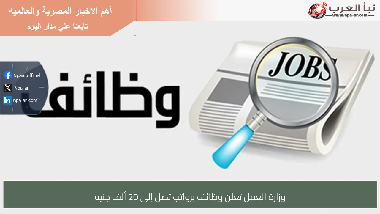 وزارة العمل تعلن وظائف برواتب تصل إلى 20 ألف جنيه