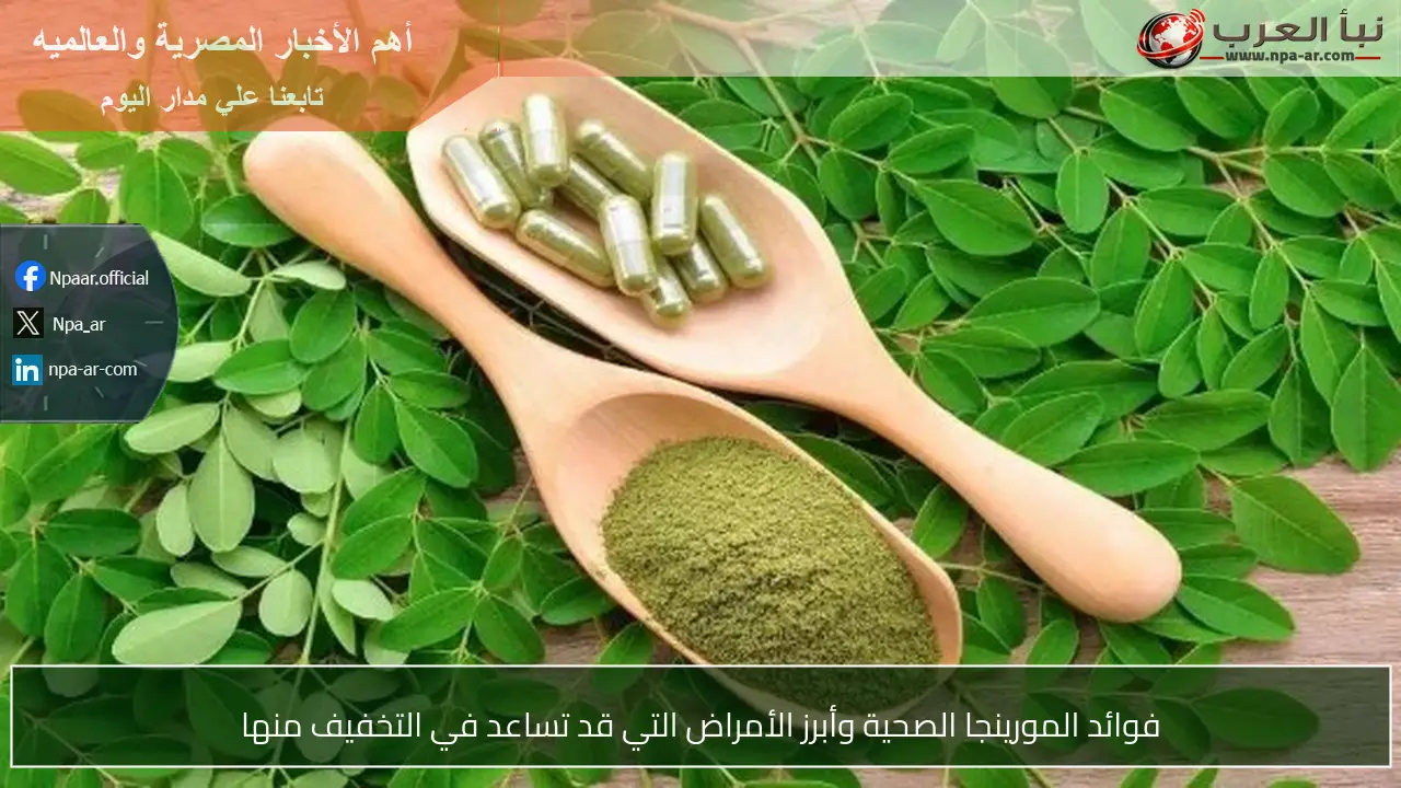 فوائد المورينجا الصحية وأبرز الأمراض التي قد تساعد في التخفيف منها