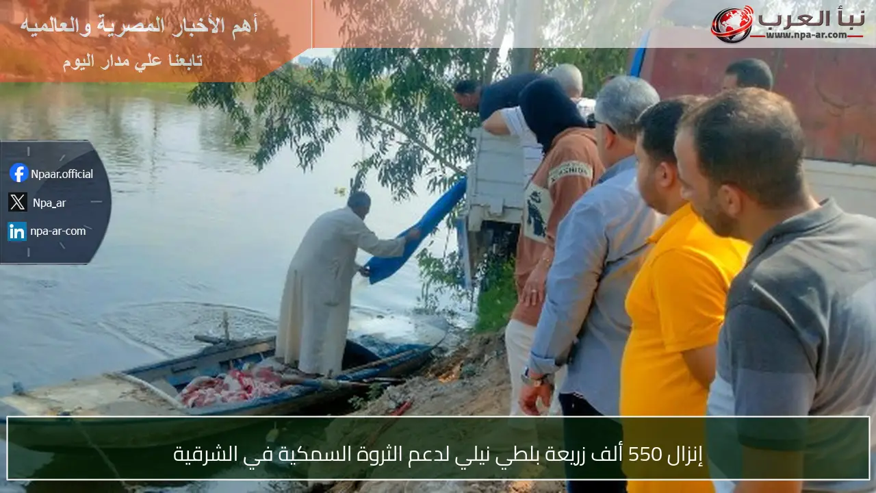 إنزال 550 ألف زريعة بلطي نيلي لدعم الثروة السمكية في الشرقية