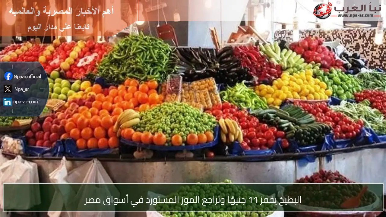 البطيخ يقفز 11 جنيهًا وتراجع الموز المستورد في أسواق مصر