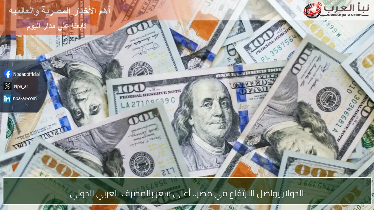 الدولار يواصل الارتفاع في مصر.. أعلى سعر بالمصرف العربي الدولي