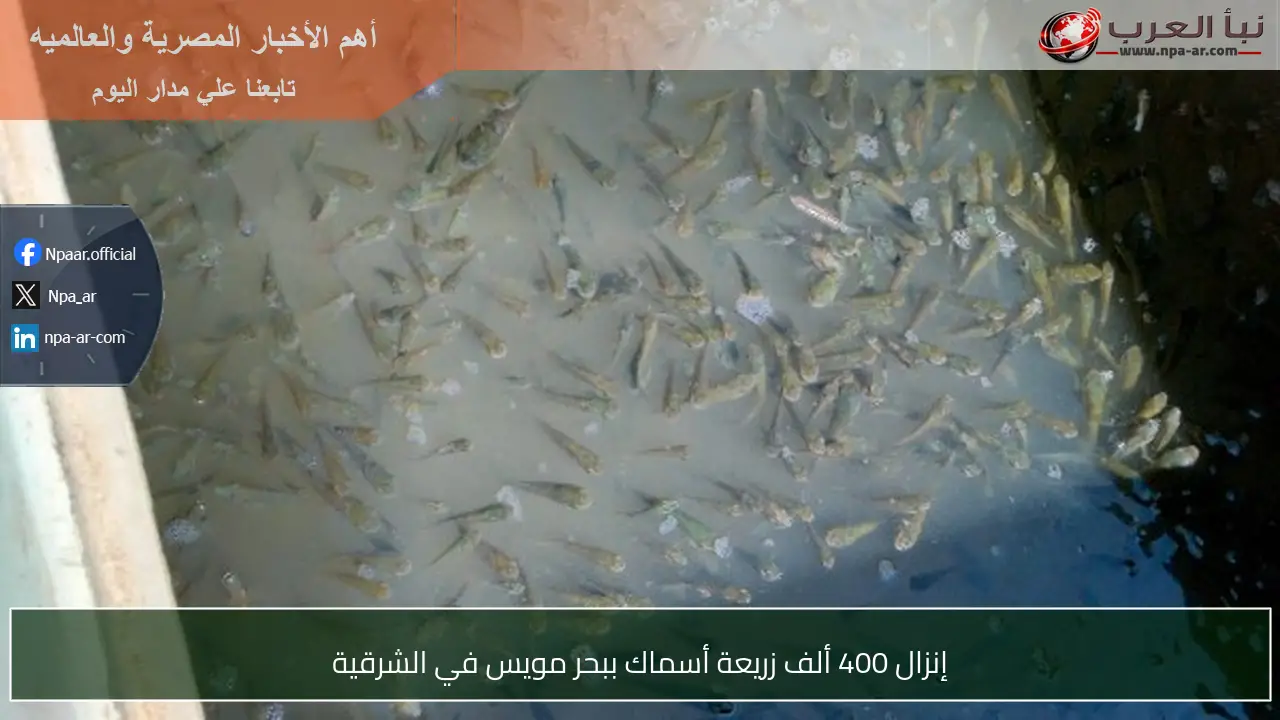 إنزال 400 ألف زريعة أسماك ببحر مويس في الشرقية