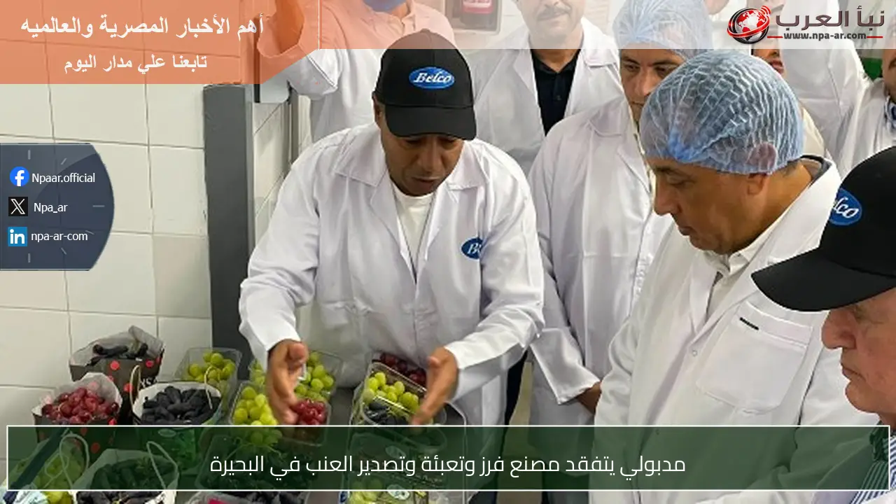 مدبولي يتفقد مصنع فرز وتعبئة وتصدير العنب في البحيرة