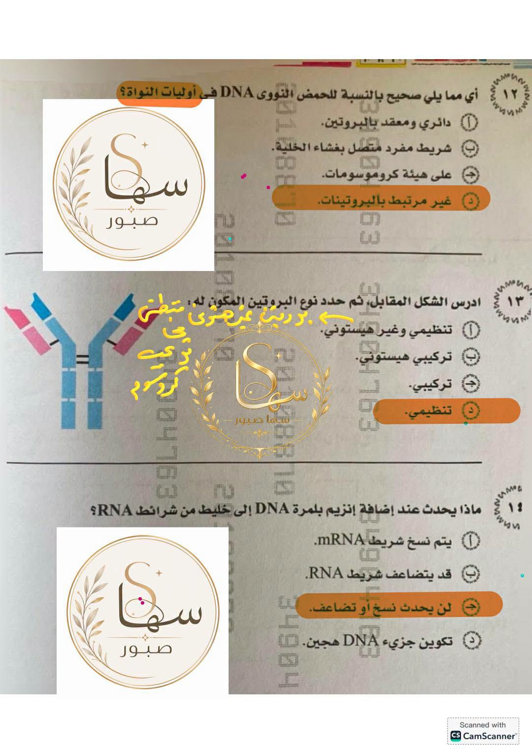 May be an image of text that says '١٢ أي مما يلي صحيح بالنسبة للحمض التووى التووىA DNA أوليات_النواة؟ AS دائري ومعقد .بالبروتين. شريط مفرد متطل بغشاء الخاية တ CO على هيئة كرومر ومات. سا صبور غير مرتبط وتينات. တာ لى ادرس الشكل المقابل، ثم حدد نوع البر تين التكون درزین عزمری مبطى تنظيمي وغير هيستوني. تركيبي هيستوني. S HBLO لرحي تركيبي. تنظيمي، ረም 19มา 0ว נה LL ماذا يحدث عند إضافة إنزيم بلمرة DNA إلى خليط دمن شرانط SRNA አአትዬ 1 يتم نسخ شریط .mRNA C قد يتضاعف شريط .RNA in ፍ صبور لنيحدث نسخ تضاعف. تكوین جزيء DNA هجين. cO with Scanned CamScanner CS'