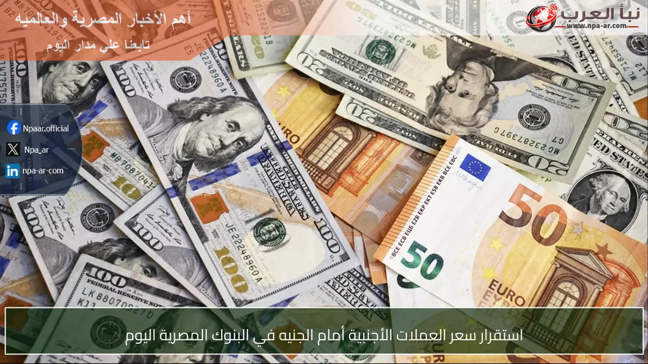 استقرار سعر العملات الأجنبية أمام الجنيه في البنوك المصرية اليوم