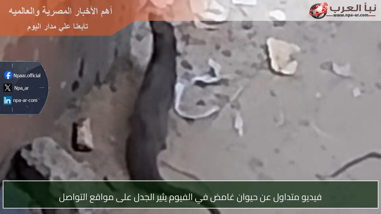 فيديو متداول عن حيوان غامض في الفيوم يثير الجدل على مواقع التواصل