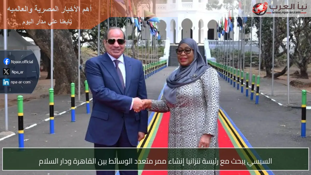 السيسي يبحث مع رئيسة تنزانيا إنشاء ممر متعدد الوسائط بين القاهرة ودار السلام