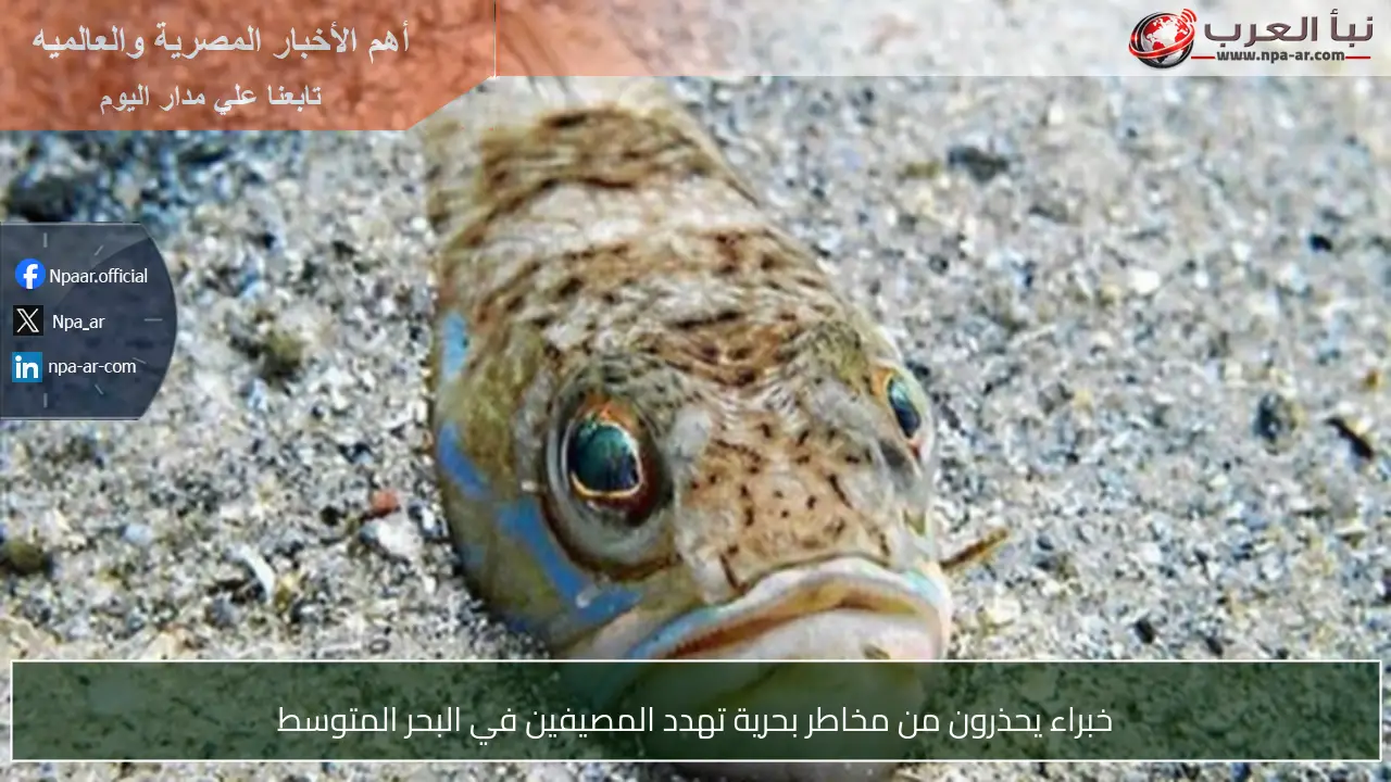 خبراء يحذرون من مخاطر بحرية تهدد المصيفين في البحر المتوسط