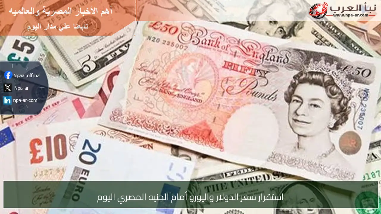 استقرار سعر الدولار واليورو أمام الجنيه المصري اليوم