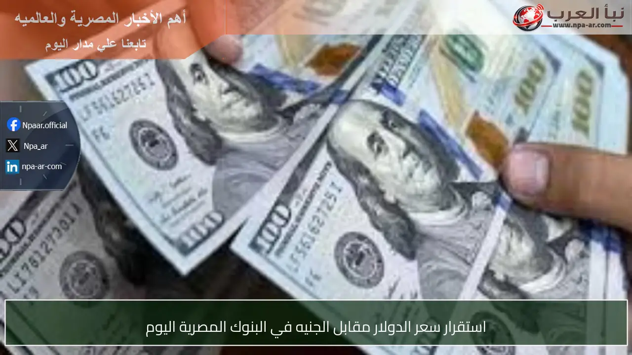 استقرار سعر الدولار مقابل الجنيه في البنوك المصرية اليوم