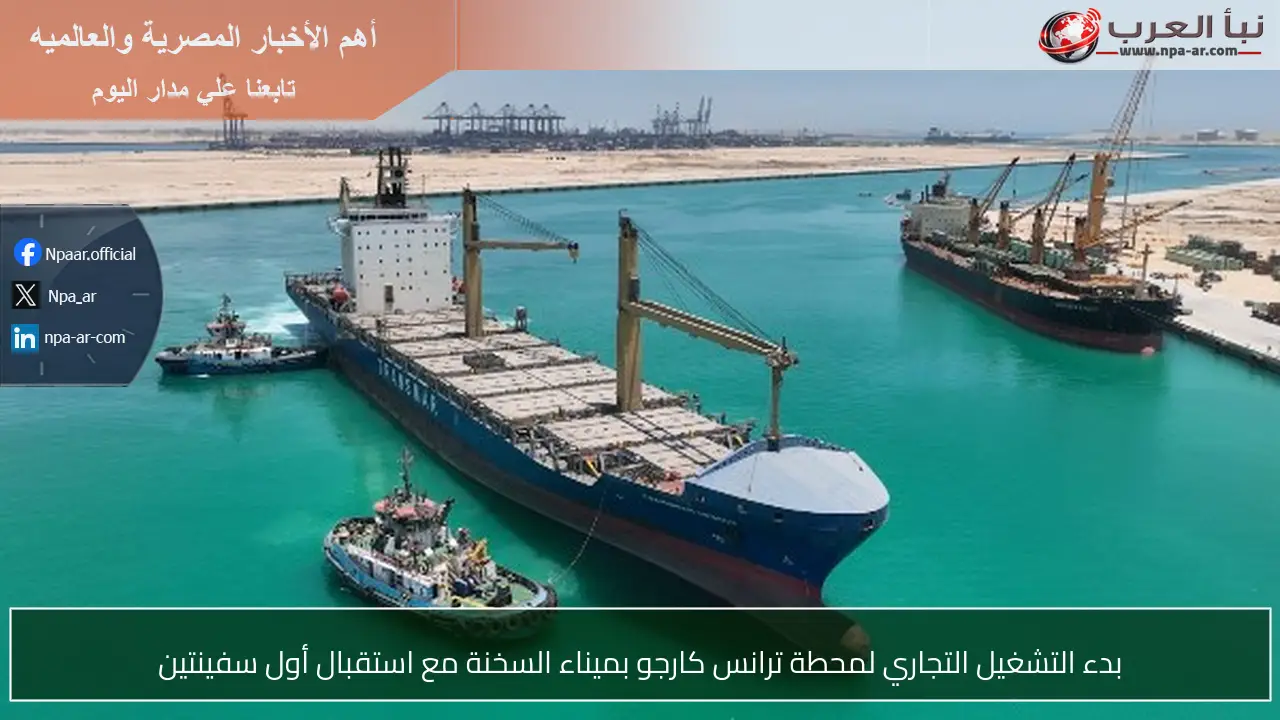بدء التشغيل التجاري لمحطة ترانس كارجو بميناء السخنة مع استقبال أول سفينتين